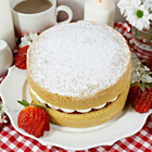 Sponge Frozen Vegan Victoria Cake