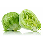 Fresh Iceberg Lettuce