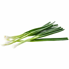 Fresh Spring Onions