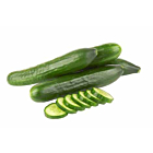 Fresh Cucumber