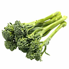 Fresh Sprouting Broccoli