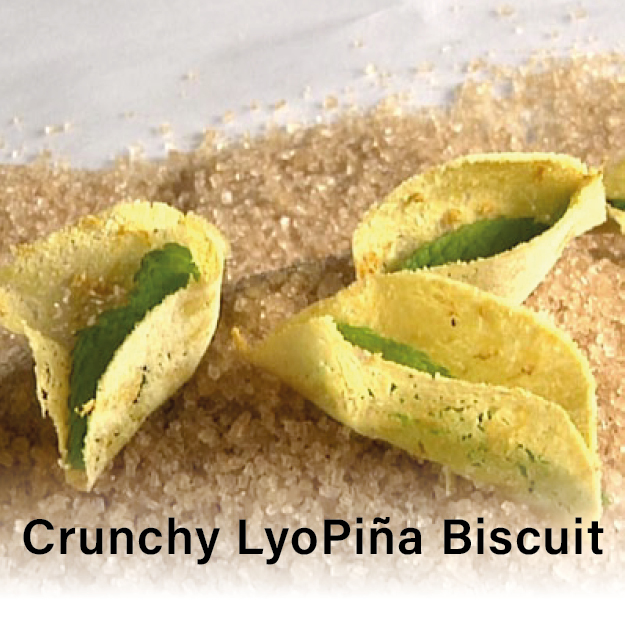 Crunchy LyoPina Biscuit